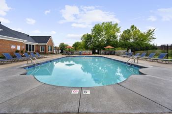 The swimming pool 